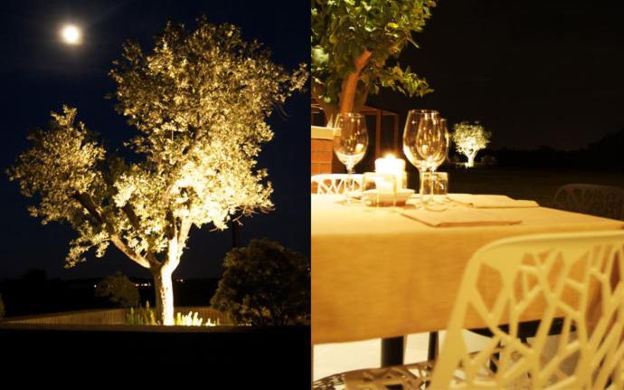 Villa Agriturismo Colombarino à Desenzano del Garda Extérieur photo